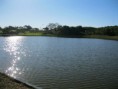/album/lago/img-3105-jpg/